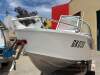 Savage 435 Bay Cruiser 2017 with a 4 stroke motor, neat as! - 2