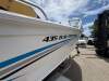 Savage 435 Bay Cruiser 2017 with a 4 stroke motor, neat as! - 4