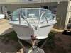 Bluefin 4.75 Weekender 4 stroke ripper boat - 11