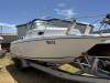 Sailfish 234WAC ultimate boat 3.2tone including trailer - 4