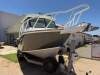 Ocean Craft NEW TO MARKET IS THIS 7M PLATE ALLOY - 3