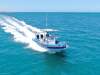 Basar Boats Crusader 800 SR 2024 Demo Model - Heavily reduced price! - 2
