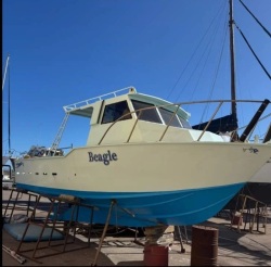Star Aluminium Fishing 8.5m sturdy tough reliable