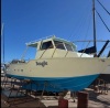 Star Aluminium Fishing 8.5m sturdy tough reliable
