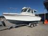 Penguin 26 in 2C survey. D4 engine. Ready to work or play - 2