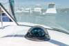 Mustang 2800 Sportscruiser - 27