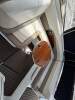 Cobalt 293 Cuddy Cabin NEAT AND VERY CLEAN 502 Mag V8 Mpi Mercruiser - 17