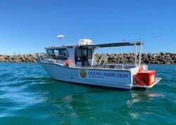 Seaquest READY FOR WORK AND OR PLAY