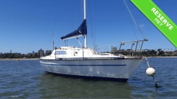 Holland 25
