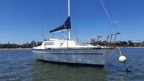 Holland 25