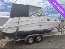 Sea Ray 240 Sundancer Project boat. Needs TLC and new engine.