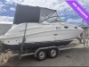 Sea Ray 240 Sundancer Project boat. Needs TLC and new engine.