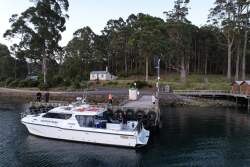 Cougar Cat 40