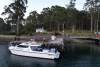 Cougar Cat 40