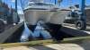 Cougar Cat 40 - 4