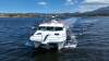 Cougar Cat 40 - 19
