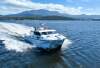 Cougar Cat 40 - 22