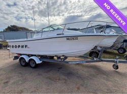 Bayliner 2052 Trophy Beautiful sturdy boat