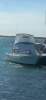 Black Watch 26 Sport Fish - 4