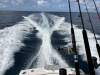 Black Watch 26 Sport Fish - 19