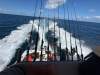 Black Watch 26 Sport Fish - 20