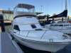 Black Watch 26 Sport Fish - 27