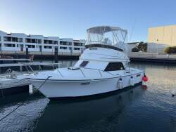 Black Watch 26 Sport Fish
