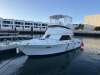 Black Watch 26 Sport Fish