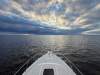 Black Watch 26 Sport Fish - 12
