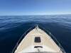 Black Watch 26 Sport Fish - 15