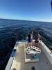 Black Watch 26 Sport Fish - 16
