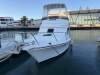 Black Watch 26 Sport Fish - 25