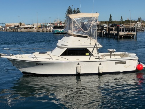 Black Watch 26 Sport Fish