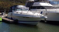 Wellcraft 3000 Martinique No Reserve beauty