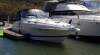Wellcraft 3000 Martinique No Reserve beauty