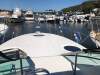 Wellcraft 3000 Martinique No Reserve beauty - 9