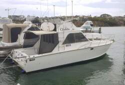 Custom 33
