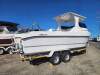 Tom Cat 747 NEW HULL AND TRAILER PACKAGE - 2
