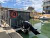 Bouvard Marine Pontoon Day Tripper Ex survey 16+2 luxury pontoon - 12