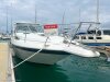 Sea Ray 290 Sundancer Just detailed and with Coogee Pen!!!