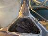 Rare Opportunity - Highly Capable Multi-Hull - 40