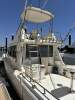 Steber 36 Flybridge Major Refit 2016 with only 997 hrs on yanmar 6LPAs - 4