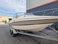 Glastron GS 209 Just detailed and ready for Spring!