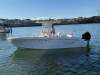 Robalo R242 - 10