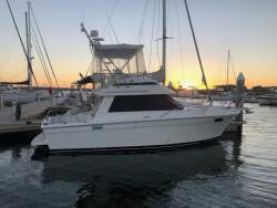 Riviera 27 Flybridge Traliable Aussie Dream!