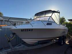Pro Angler 195