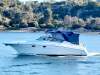 Cruisers Yachts 310 Express - 5