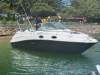 Sea Ray 245 Sundancer - 2