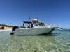 Hampton Yachts, 5.5m Plate Fishing Weapon