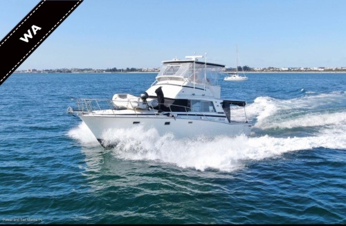 Bertram 38 Flybridge Caterpillar Diesels Hardtop to cockpit &amp; Generator